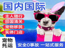 新源那拉提国际宠物托运 【国